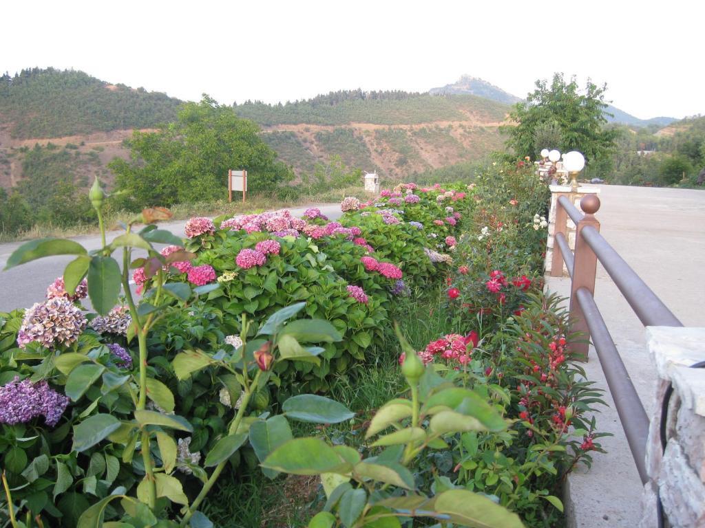 Guesthouse Moucha Room photo